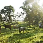 Event- Kultur & Kunst Schloss Neuenhagen Uebernachten Im Denkmal Konukevi 3*