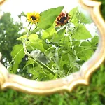 Konukevi Event- Kultur & Kunst Schloss Neuenhagen Uebernachten Im Denkmal