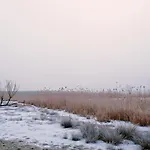 Event- Kultur & Kunst Schloss Neuenhagen Uebernachten Im Denkmal Konukevi