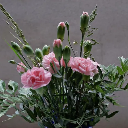 Event- Kultur & Kunst Schloss Neuenhagen Uebernachten Im Denkmal 3*