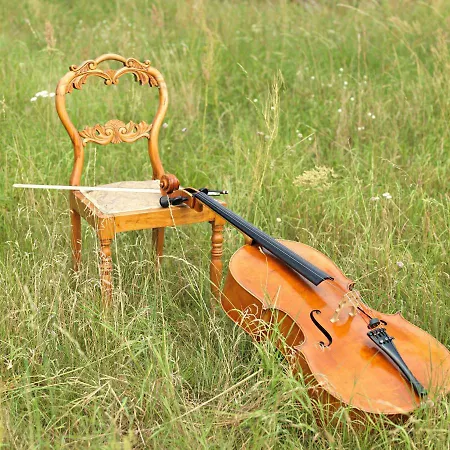 Event- Kultur & Kunst Schloss Neuenhagen Uebernachten Im Denkmal Bad Freienwalde