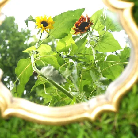 Affittacamere Event- Kultur & Kunst Schloss Neuenhagen Uebernachten Im Denkmal