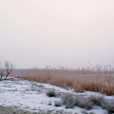 Event- Kultur & Kunst Schloss Neuenhagen Uebernachten Im Denkmal Πανσιόν