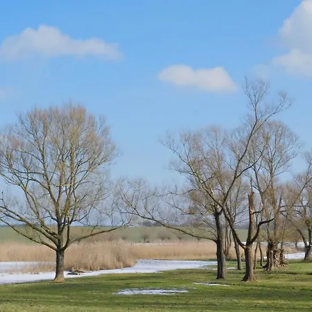Event- Kultur & Kunst Schloss Neuenhagen Uebernachten Im Denkmal 3* Bad Freienwalde