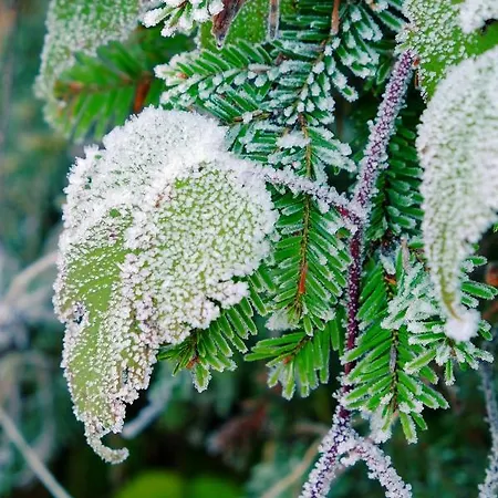 Event- Kultur & Kunst Schloss Neuenhagen Uebernachten Im Denkmal Πανσιόν Bad Freienwalde