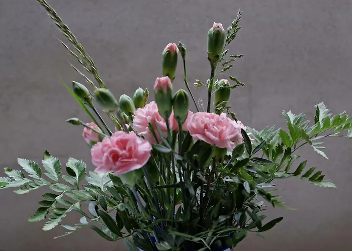 Event- Kultur & Kunst Schloss Neuenhagen Uebernachten Im Denkmal 3*