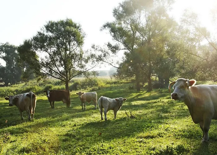 Event- Kultur & Kunst Schloss Neuenhagen Uebernachten Im Denkmal Guest house 3*
