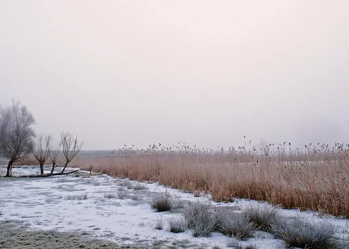 Event- Kultur & Kunst Schloss Neuenhagen Uebernachten Im Denkmal Gæstehus