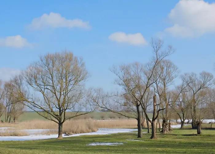 Event- Kultur & Kunst Schloss Neuenhagen Uebernachten Im Denkmal 3* Bad Freienwalde