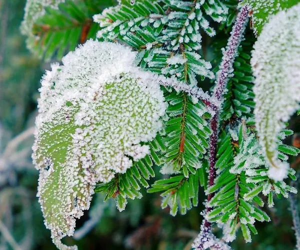 Event- Kultur & Kunst Schloss Neuenhagen Uebernachten Im Denkmal Gæstehus Bad Freienwalde